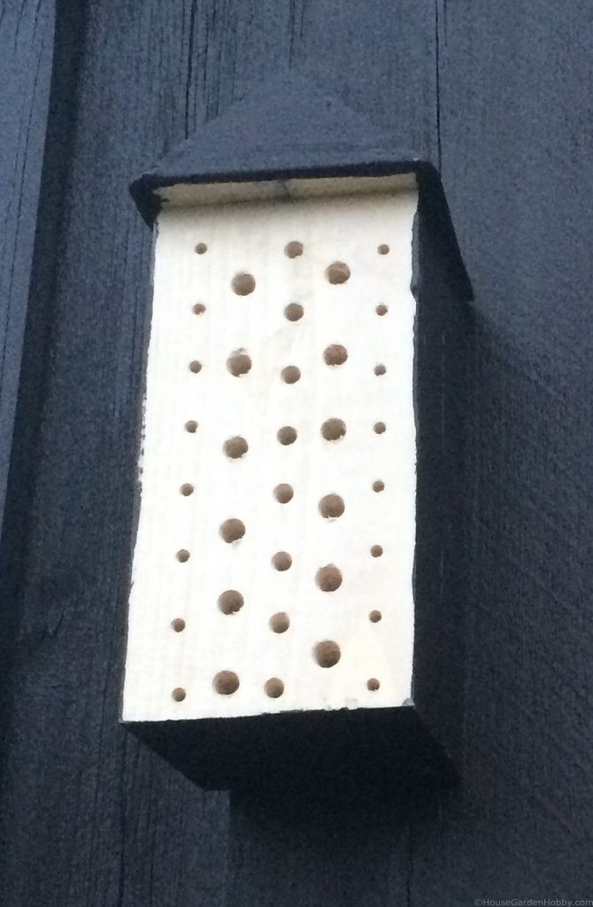 Beehouse on wall