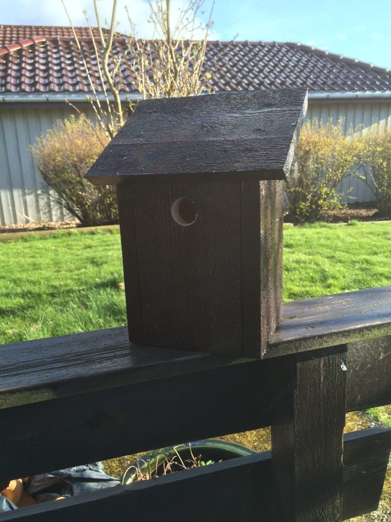 Easy Birdhouse Drilled hole